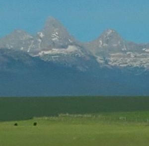 Meet your Posher, Sheila